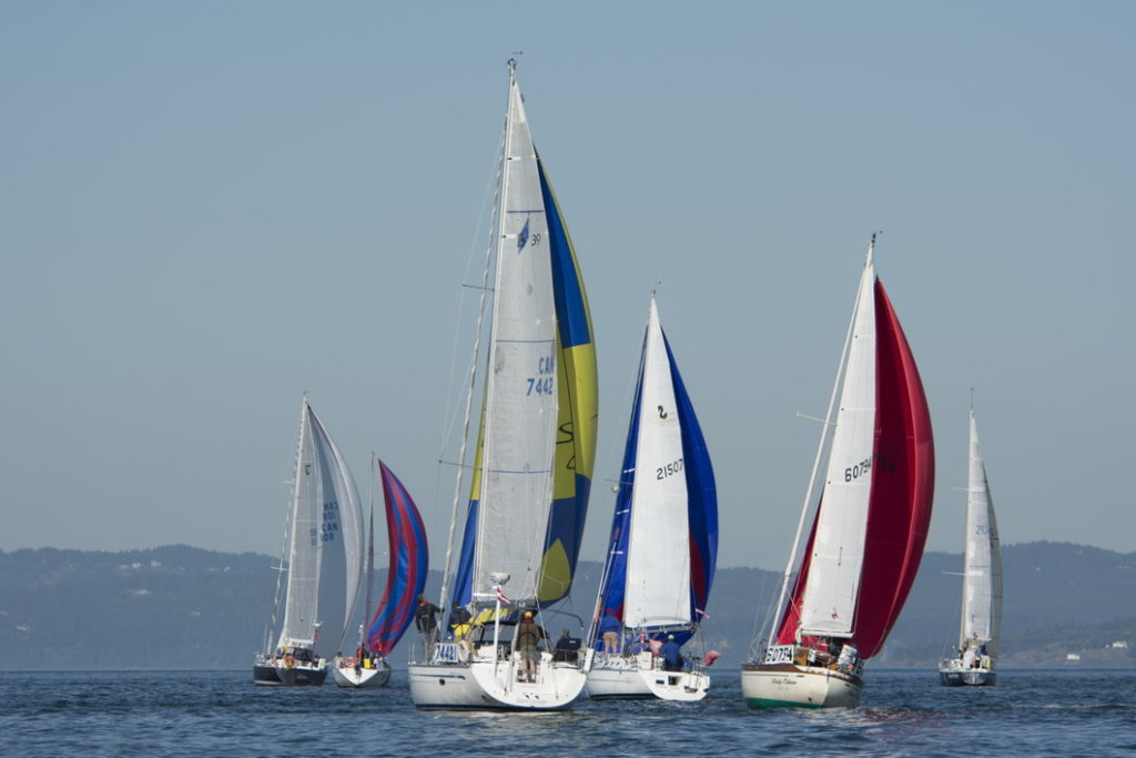 yacht race victoria